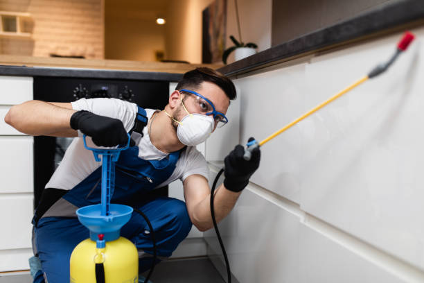 Best Pest Prevention Services  in Mehlville, MO