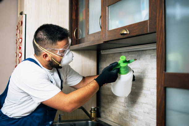 Best Pest Inspection Near Me  in Mehlville, MO