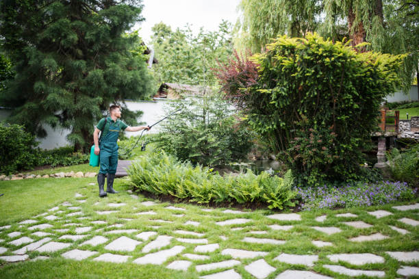 Best Residential Pest Control  in Mehlville, MO