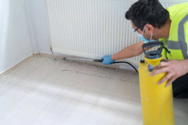 Professional Pest Control in Mehlville, MO